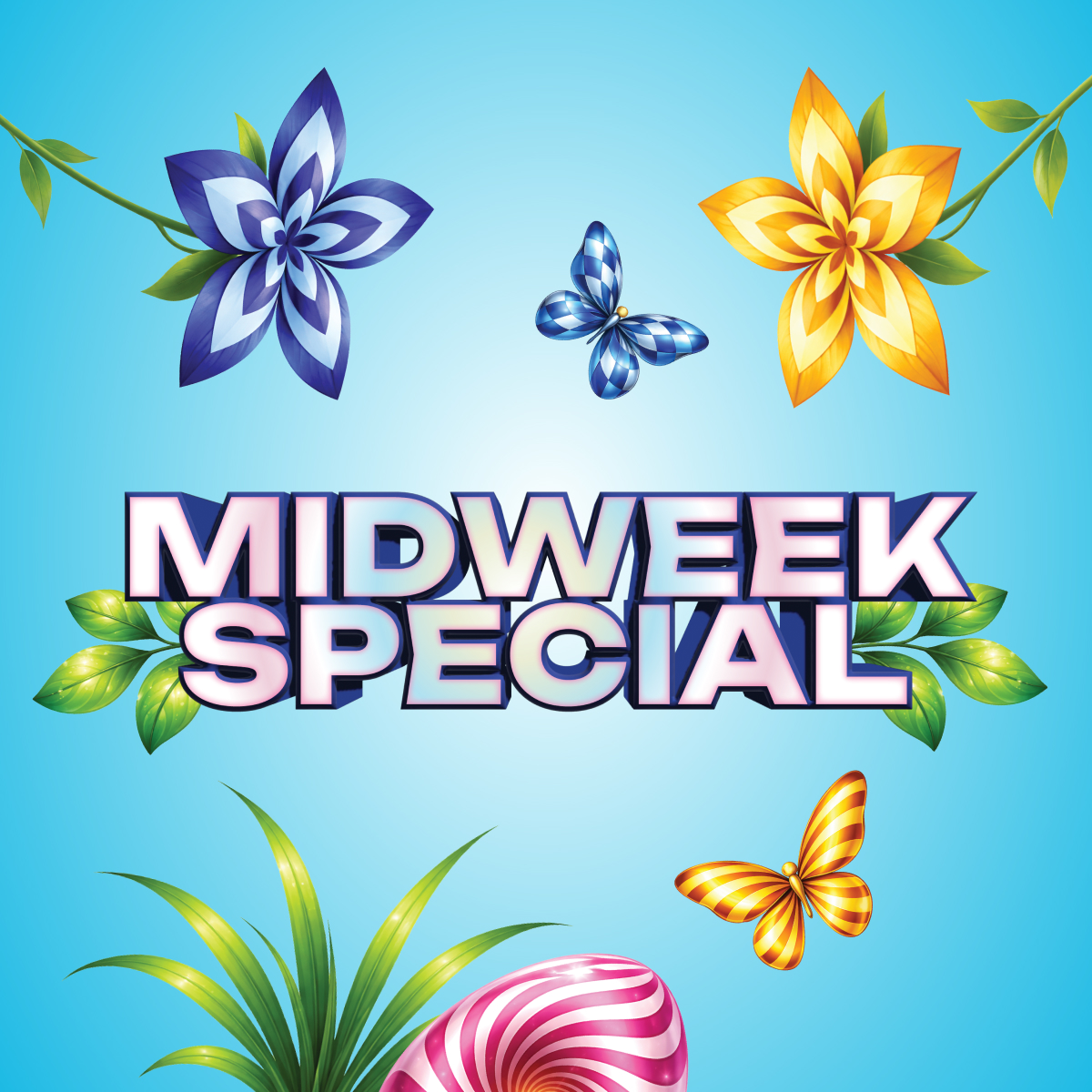 MOI Spring web 1200x1200 6